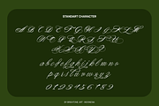 Dearest Mother - Calligraphy Font, a Script Font by Brightone (Thumbnail 2 of 8)