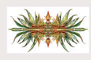 Muji Co · Symmetrical Botanics, a Decorative Illustration by milatovar (Thumbnail 15 of 16)