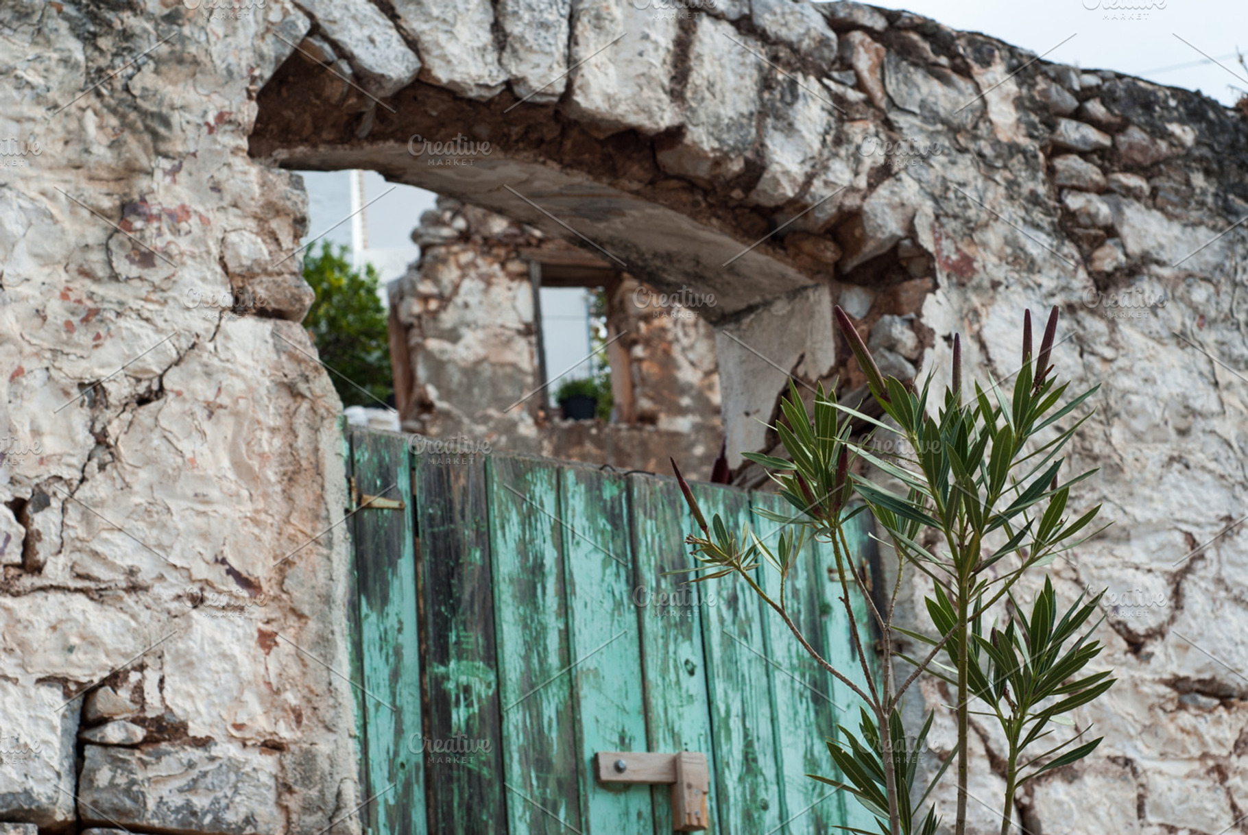 Green Door Stone Wall