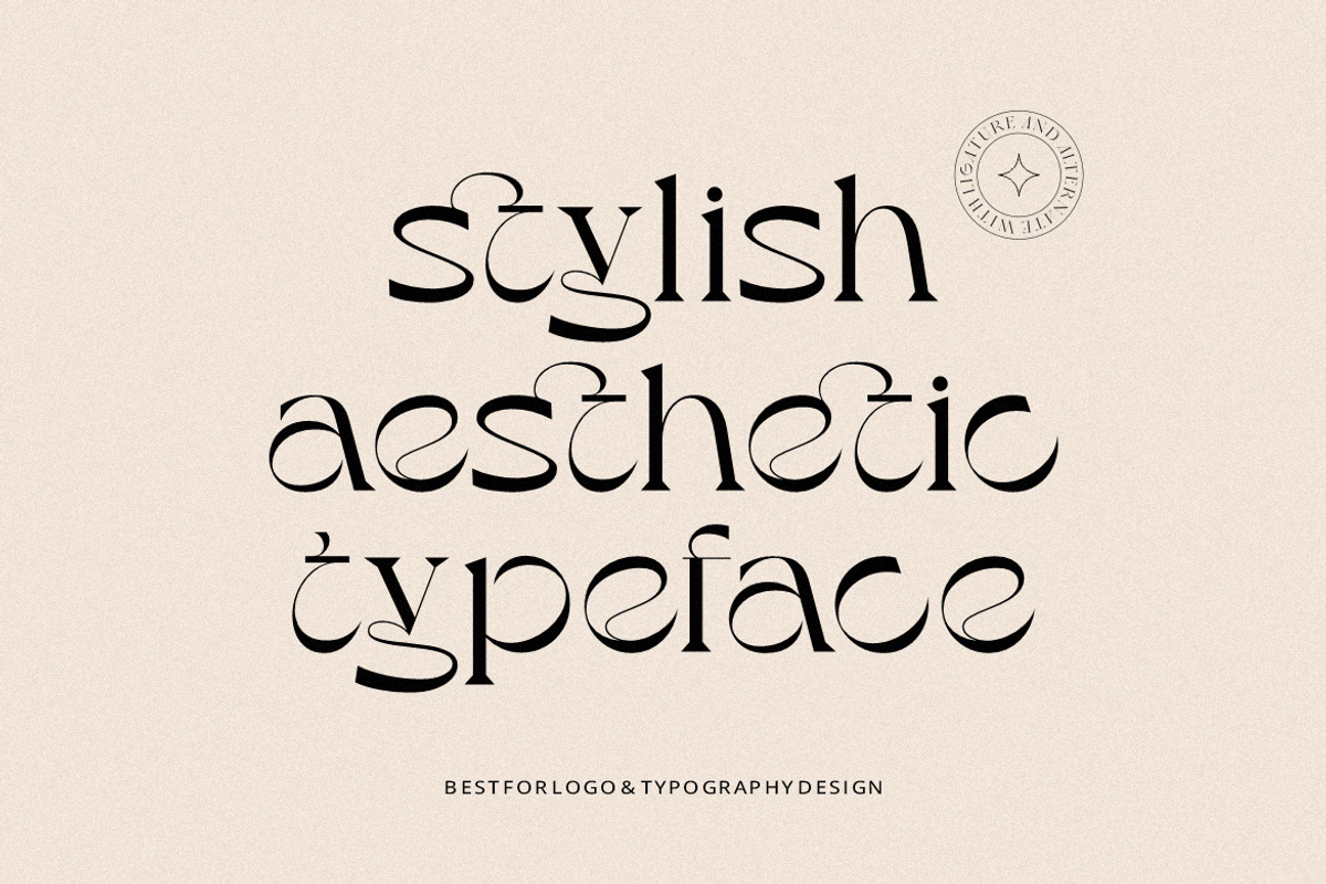 Austin City - Aesthetic Serif Font, a Serif Font by HansCo Studio (Photo 3 of 7)