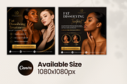 Fat Dissolving Treatment Canva Flyer, a Social Media Template by Click & Create Co (Thumbnail 2 of 3)