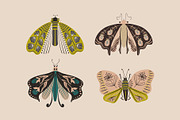Folk Art Insects., an Animal Illustration by Annakniaz (Thumbnail 6 of 15)