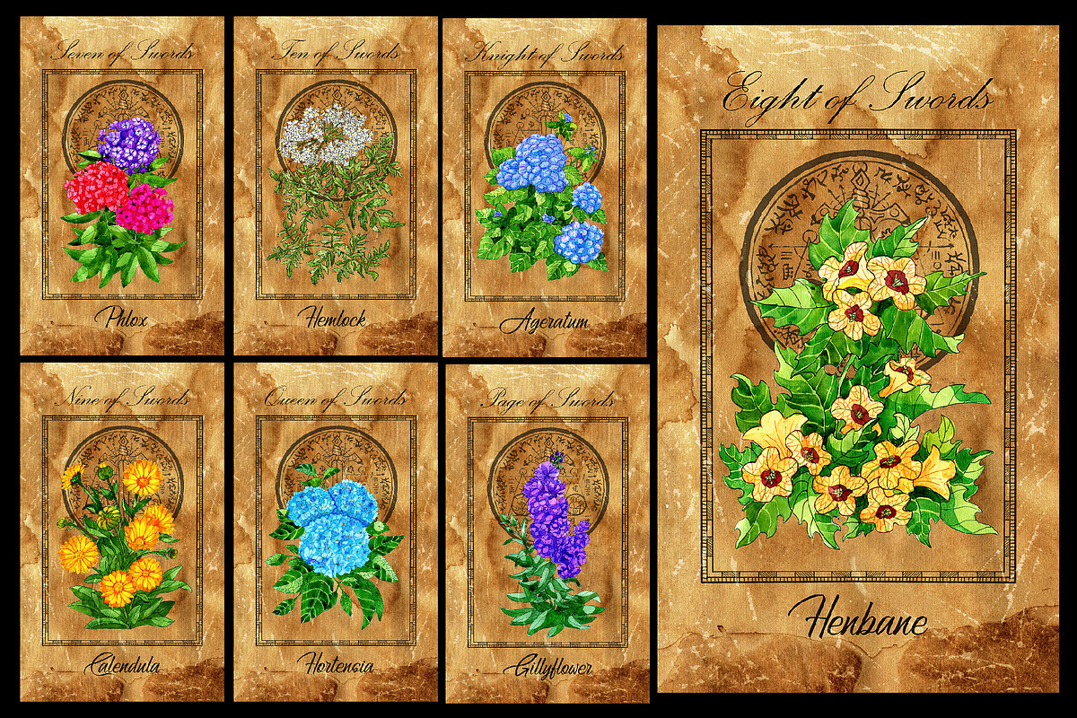 Enchanted flowers tarot deck, a Decorative Illustration by Samiramay (Photo 11 of 12)