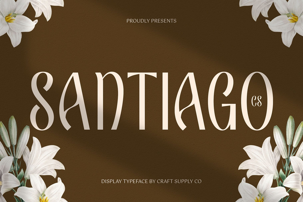 CS Santiago – Aesthetic Font, a Sans Serif Font by Craft Supply Co. (Photo 1 of 8)
