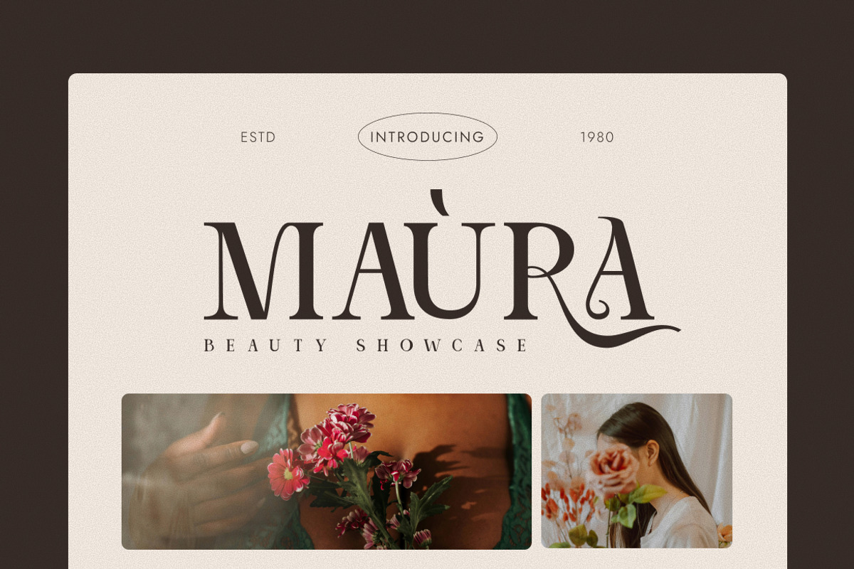 Aurellina Modern Elegant Serif, a Serif Font by Vadovastd (Photo 3 of 7)