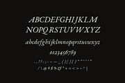 Hall Italic - Typeface, a Serif Font by Lilithcollageart (Thumbnail 2 of 10)