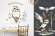 Cute forest owl. Wildlife watercolor, an Animal Illustration by Ann Art Houze (Thumbnail 3 of 10)