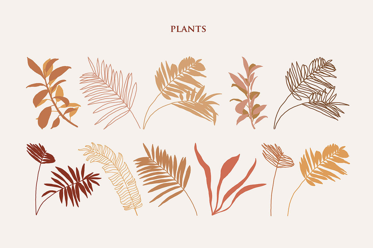 Plant + Abstract Illustration Set, an Object Illustration by Anny (Photo 9 of 19)