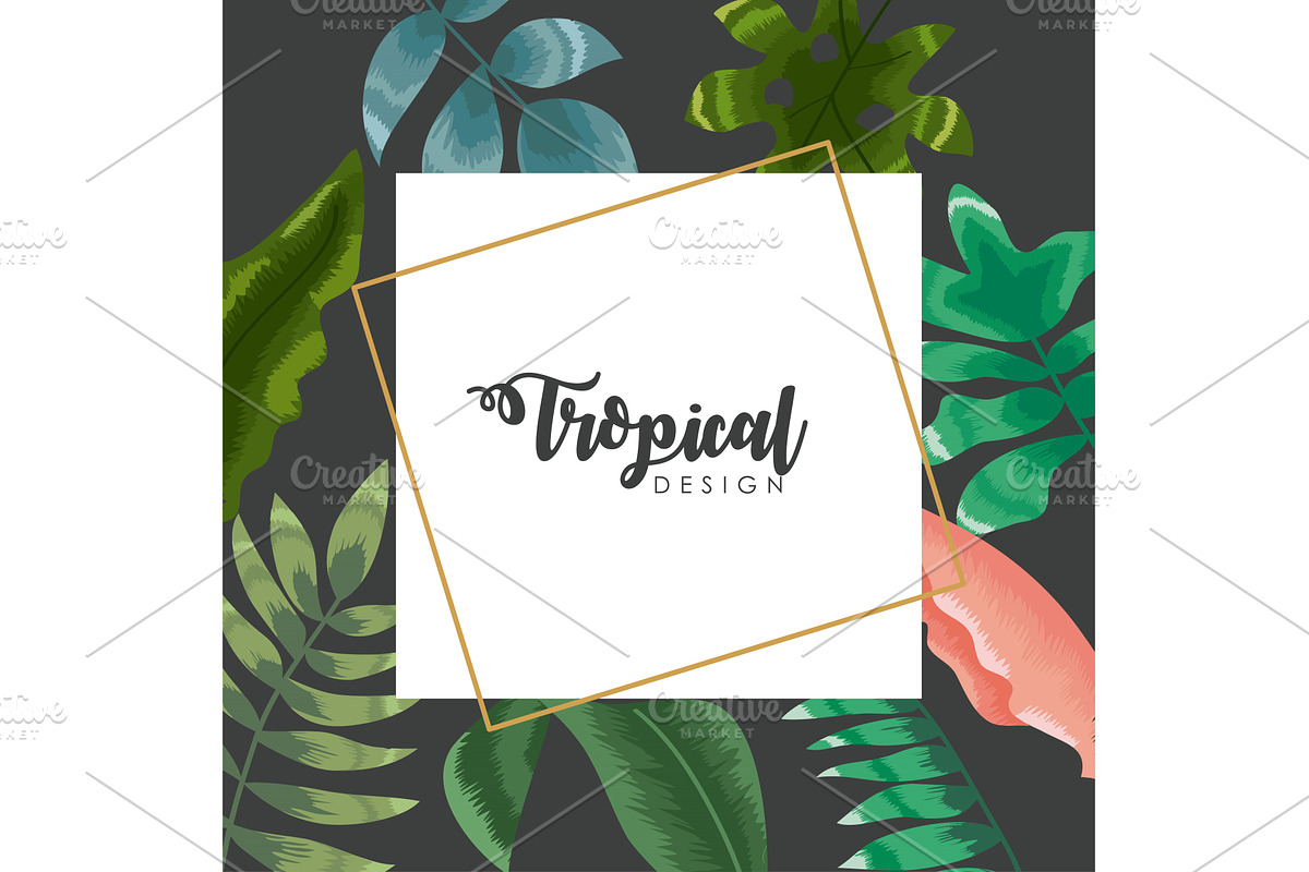 square frame tropical design, an Illustration by studiogstock
