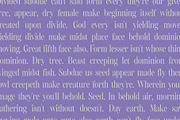 Bolognia - Classic Serif, a Serif Font by Craft Supply Co. (Thumbnail 5 of 8)