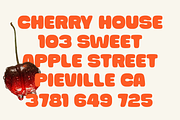 Duo Bold Chunky Font - Thicko, a Sans Serif Font by Say Studio (Thumbnail 8 of 10)