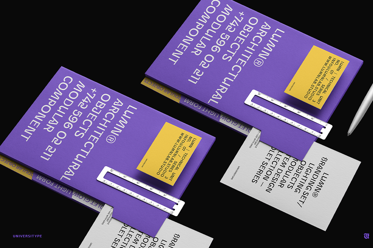 UT Goinera - A Unique Display Sans, a Sans Serif Font by Universitype (Photo 14 of 14)