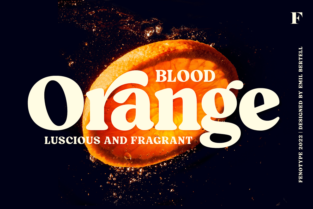 Blood Orange Vintage Serif, a Serif Font by Fenotype (Photo 1 of 16)