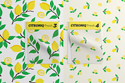 Fresh Lemon Seamless Pattern Set, a Graphic by Asya Melkonyan Patterns (Thumbnail 10 of 14)