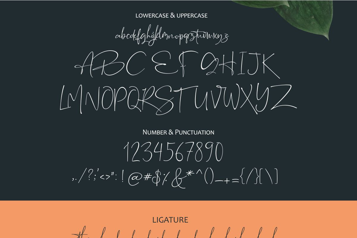the Rochester // Beatiful Signature preview 8