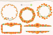 Solar Calendula. Watercolor set, an Illustration by Tata Pilip (Thumbnail 4 of 7)