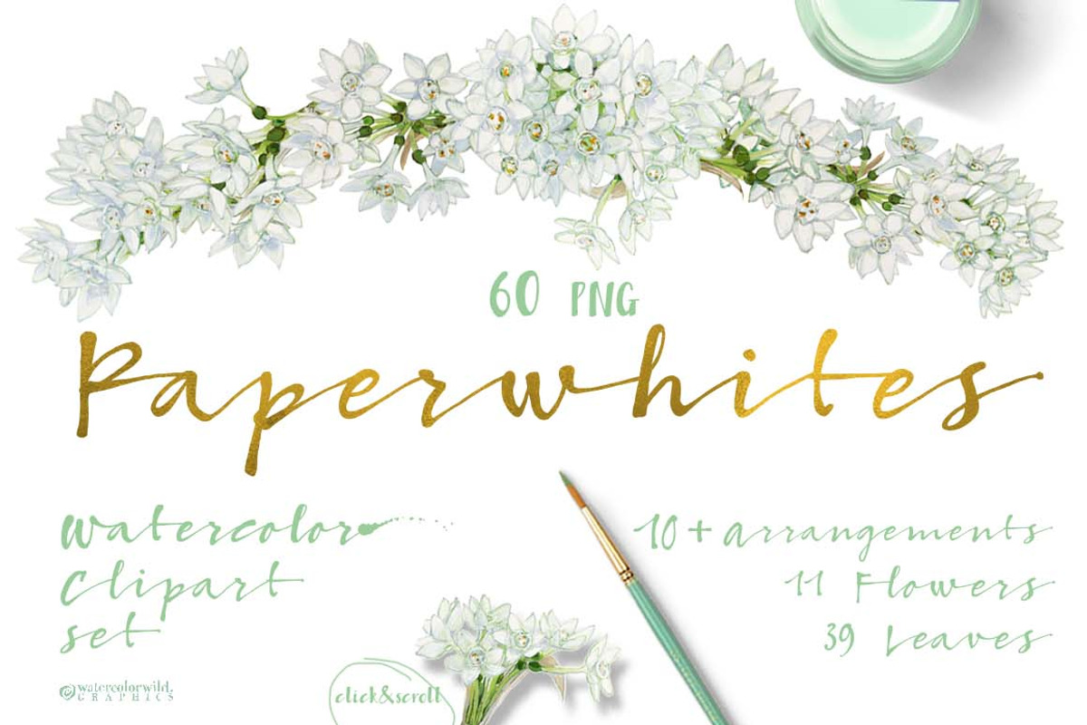 White Spring-Paperwhites, an Illustration by watercolorwild.graphics (Photo 1 of 7)