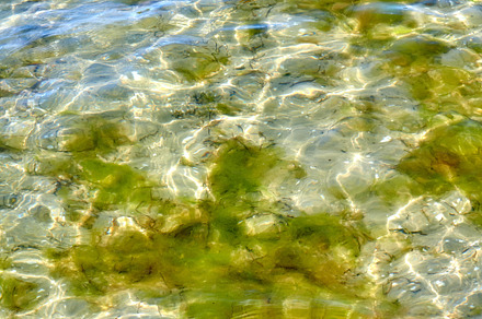 Background, a Photo by Peopleimages.com