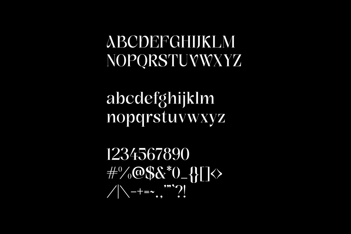 Blizter – Elegant & Stylish Serif, a Serif Font by Dikas Studio (Photo 8 of 12)