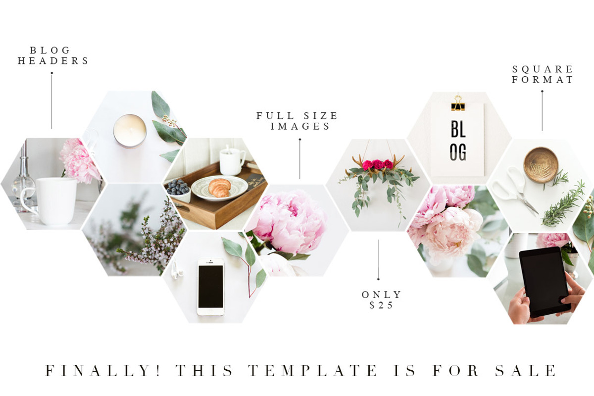 PSD Honeycombe Template, a Presentation Template by JanaBishopCollection (Photo 4 of 6)