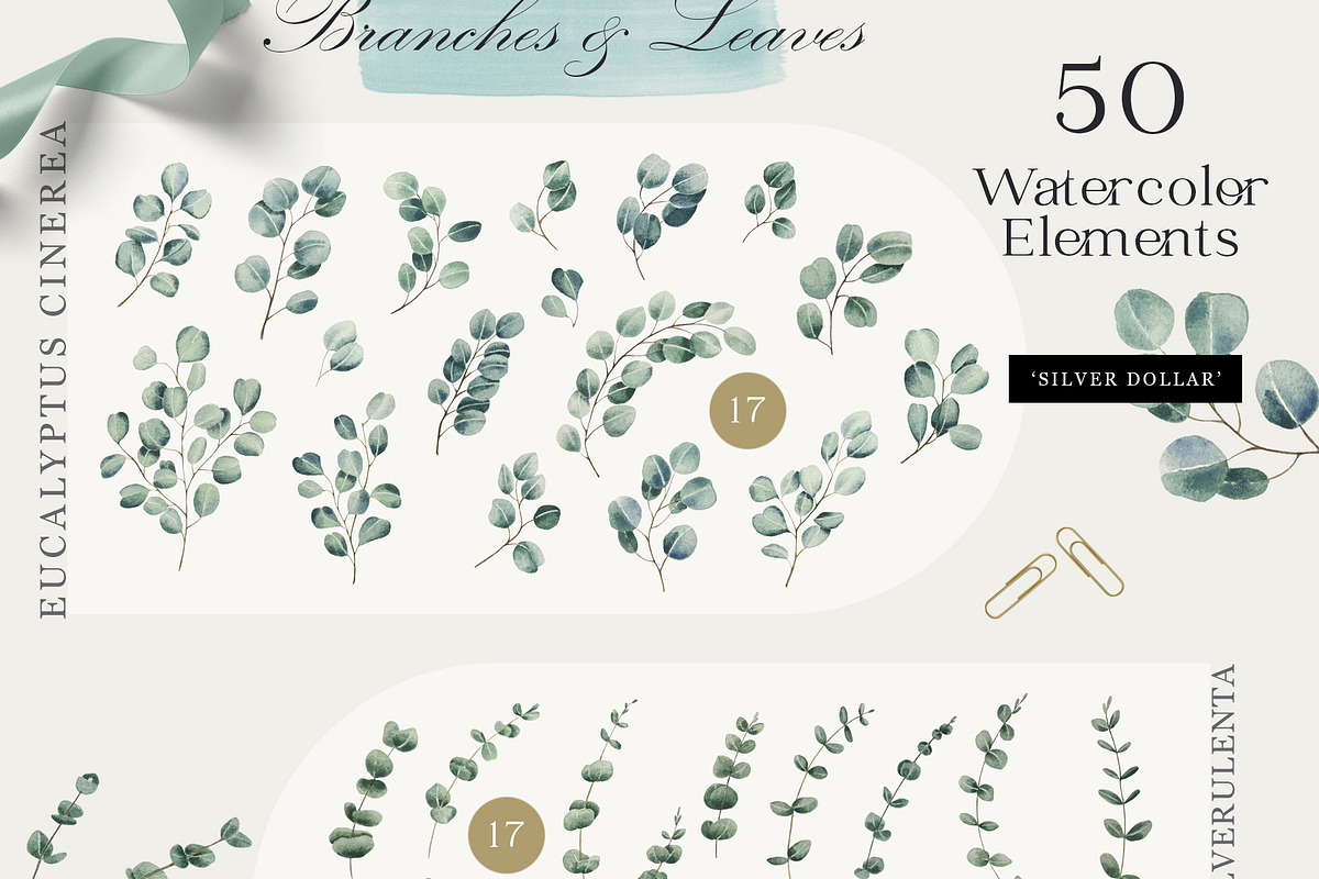 Eucalyptus – Watercolor Collection, a Decorative Illustration by Letters-Shmetters (Photo 2 of 8)