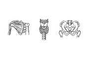 Human Skeleton Structure Symbols, a Healthcare Illustration by Tettygreen (Thumbnail 3 of 3)