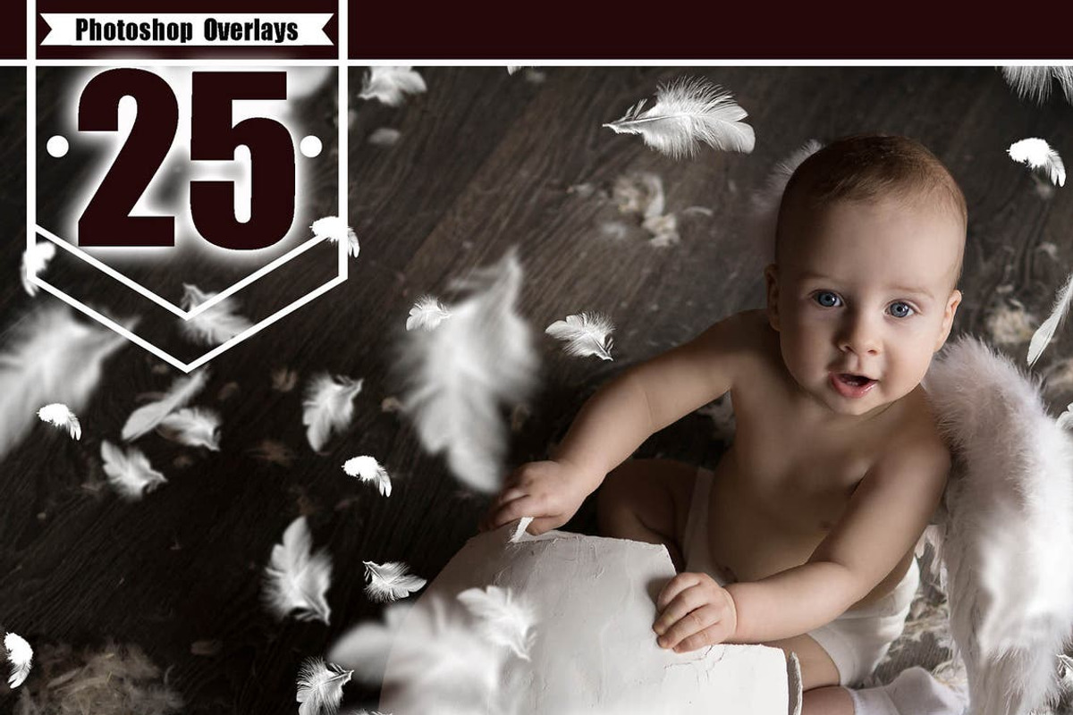 25 White feather photo overlays