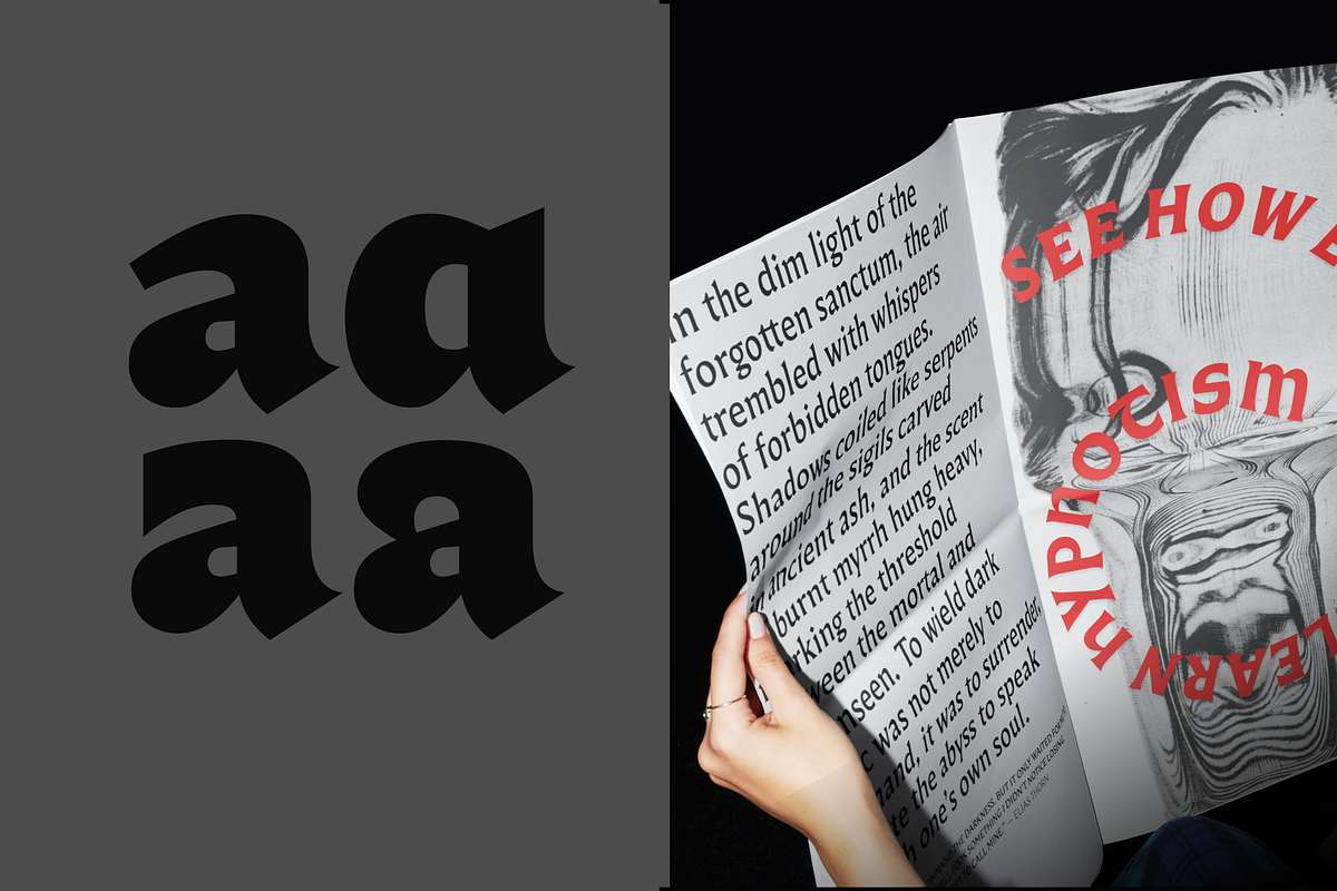 Questline, a Serif Font by Sudtipos (Photo 2 of 9)