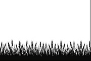 Rustic Wheat Field Vector Borders, an Illustration by hafijul (Thumbnail 6 of 9)