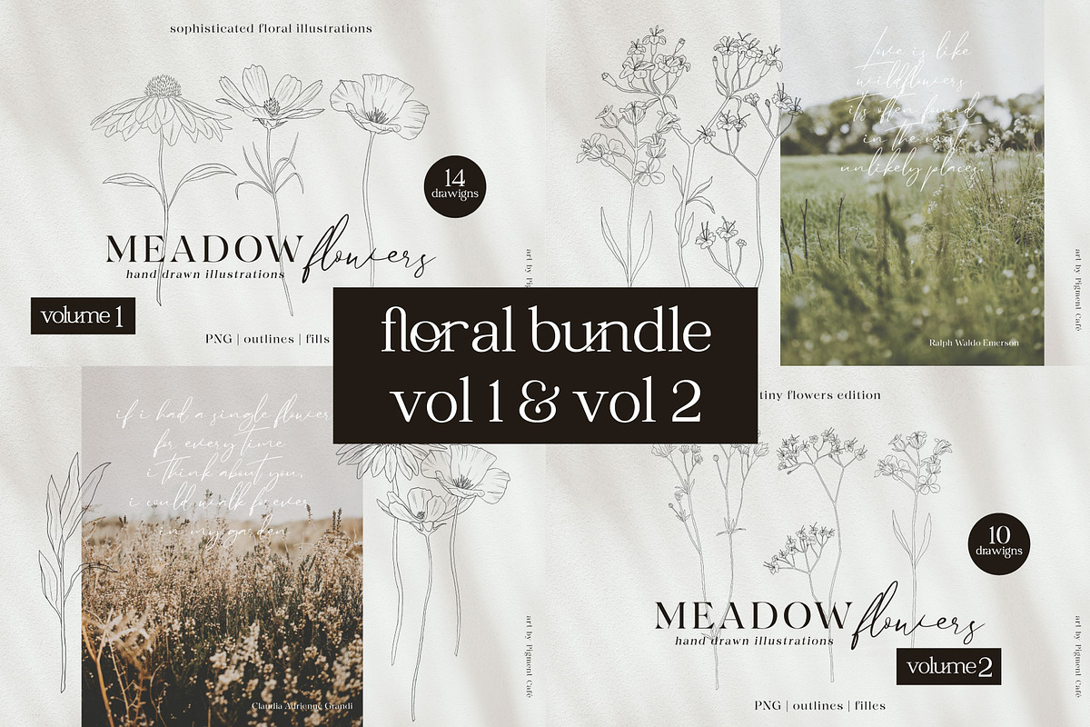 Meadow Flowers Vol. 1 & 2 Bundle, a Decorative Illustration by Pigment Café (Photo 1 of 10)