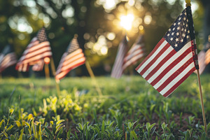 American flags on a memorial day., a Holiday Photo by MistyDay