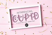 VALENTINE'S DAY Font Bundle, a Script Font by Blush Font Co. (Thumbnail 8 of 9)