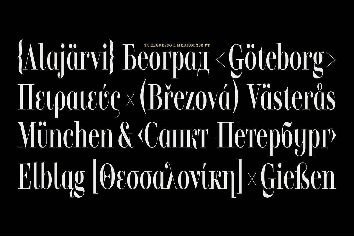TA Regresso Text, a Serif Font by TAFT Foundry (Photo 6 of 21)