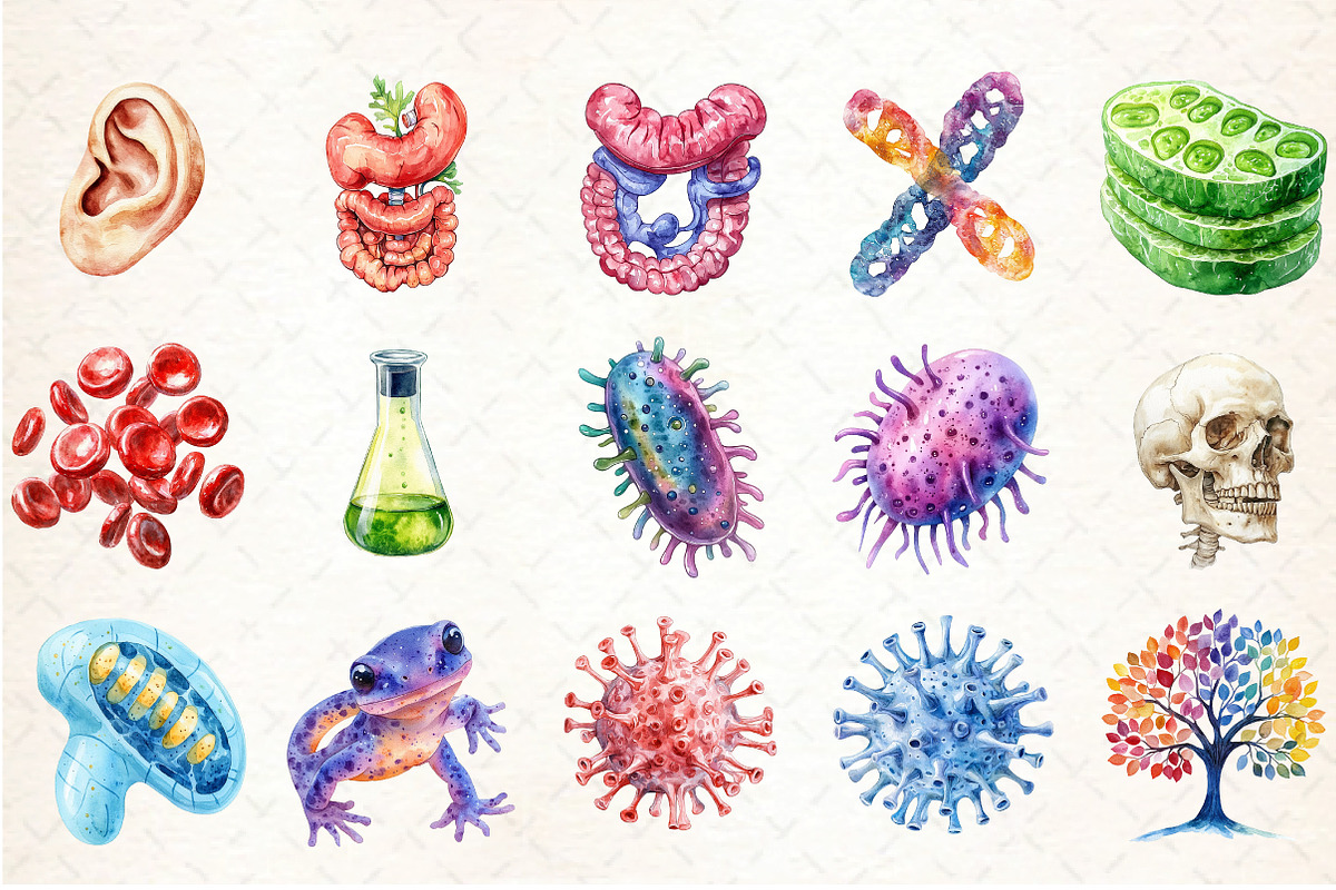 Biology Clipart Bundle, an Illustration by DreamCafeArt (Photo 2 of 4)