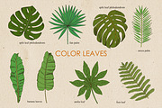 Tropic, an Illustration by Julycolor (Thumbnail 2 of 8)