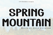 Spring Mountain, a Script Font by FreshTypeINK (Thumbnail 1 of 8)