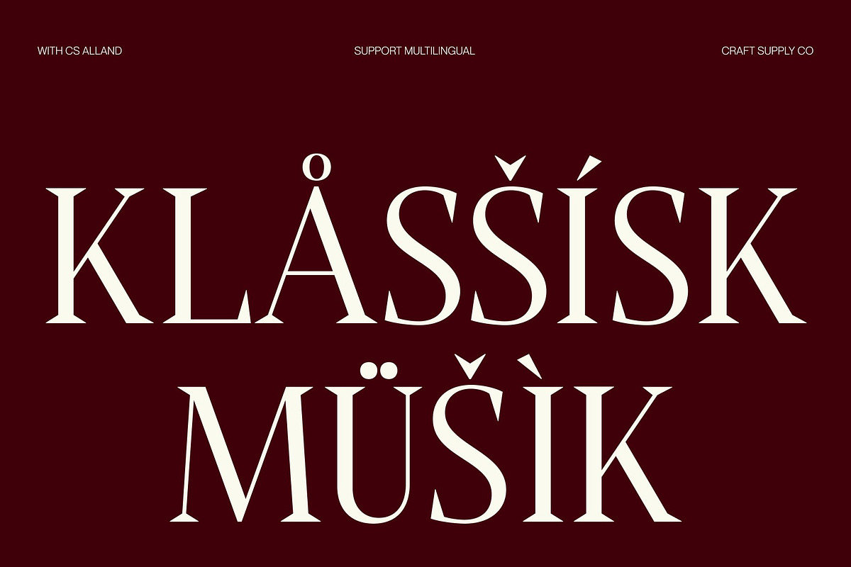 CS Alland – Classic Serif Font, a Serif Font by Craft Supply Co. (Photo 7 of 8)