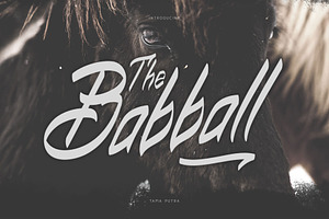 Babball Handwritten Typeface