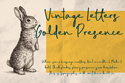 Seattles - Handwritten Script Font, a Handwritten Font by Vampstudio (Thumbnail 8 of 11)
