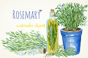Rosemary. Watercolor clip art., a Decorative Illustration by LABFcreations (Thumbnail 5 of 5)