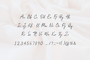 Willmard Valiant Signature Font, a Handwritten Font by UICreative (Thumbnail 6 of 6)