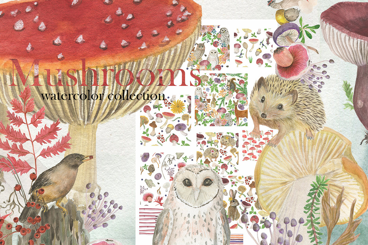 Watercolor mushrooms collection, a Pattern Graphic by ramika (Photo 1 of 5)