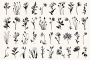 Botanical Traces: Blurred Floral PNG, an Object Graphic by Dina Mae (Thumbnail 4 of 14)
