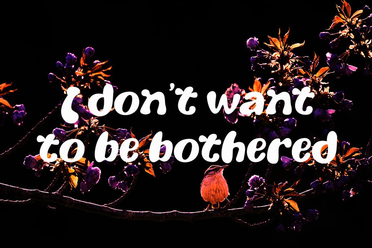 Fairy Tail, a Font by Gatype (Photo 8 of 8)