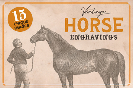 The Horse Collection