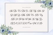 Aurelaydi | Elegant Calligraphy, a Script Font by Denustudios (Thumbnail 10 of 12)