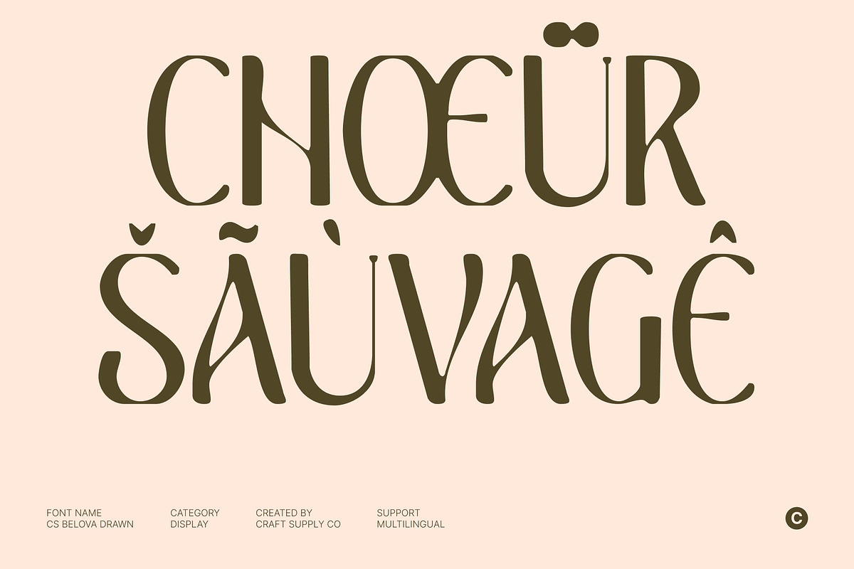CS Belova Drawn, a Serif Font by Craft Supply Co. (Photo 5 of 8)