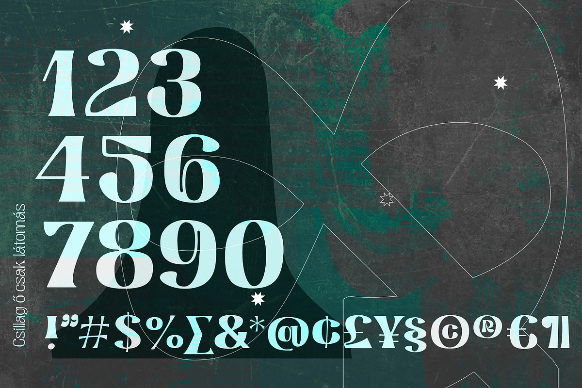 Sebaj, a Serif Font by Kisboszorka (Photo 2 of 19)