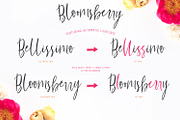 Bloomsberry Type & Graphics, a Handwritten Font by Callie Rian & Co. (Thumbnail 10 of 14)