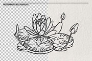 Set of water lilies and flowers PNG, a Decorative Illustration by LOKSKIH (Thumbnail 2 of 10)